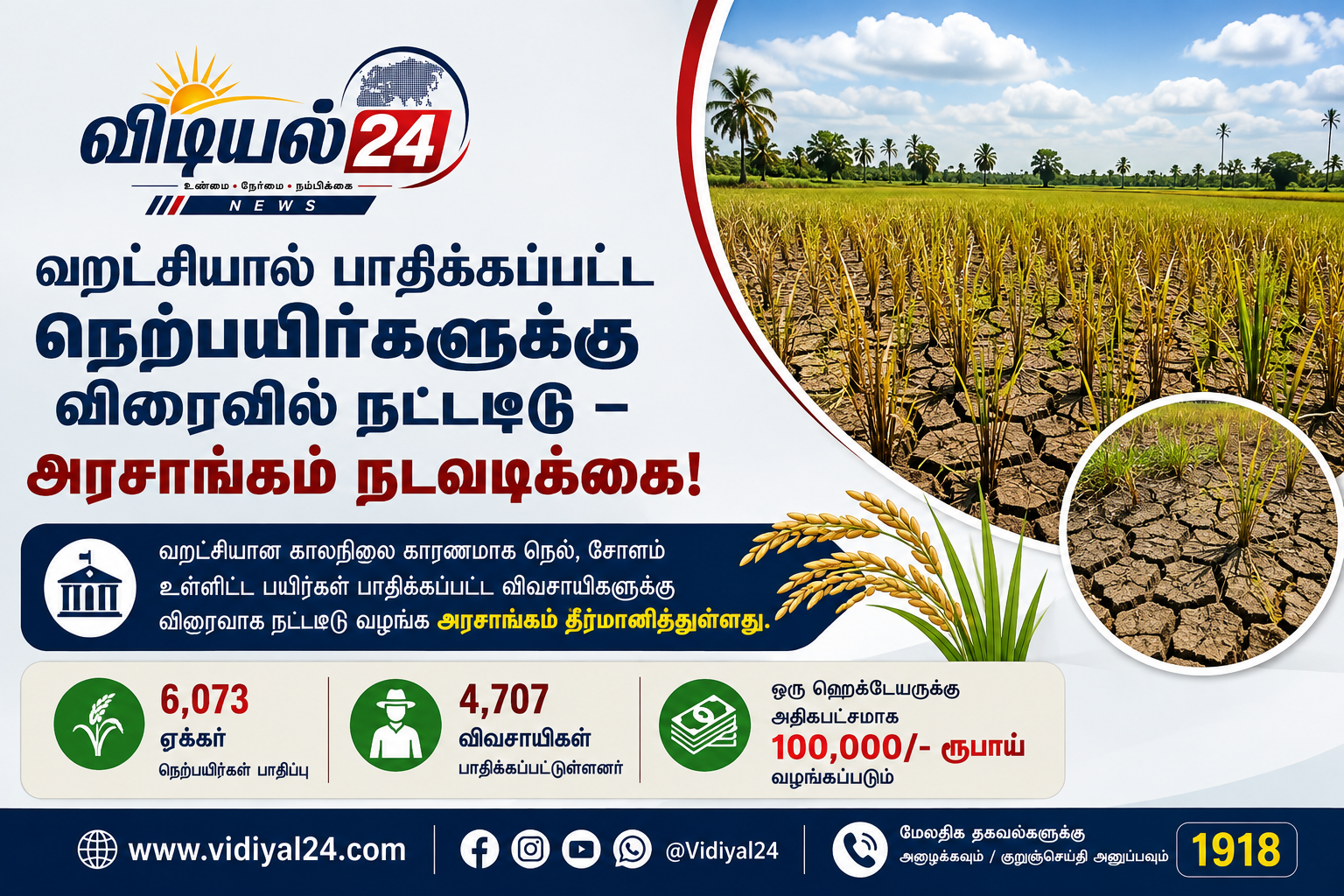 வறட்சியால் பாதிக்கப்பட்ட நெற்பயிர்களுக்கு விரைவில் நட்டஈடு – அரசாங்கம் நடவடிக்கை