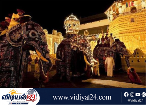 கண்டி பெரஹெரா கடமையில் பொலிஸாரை அவமதித்த நபர் கைது