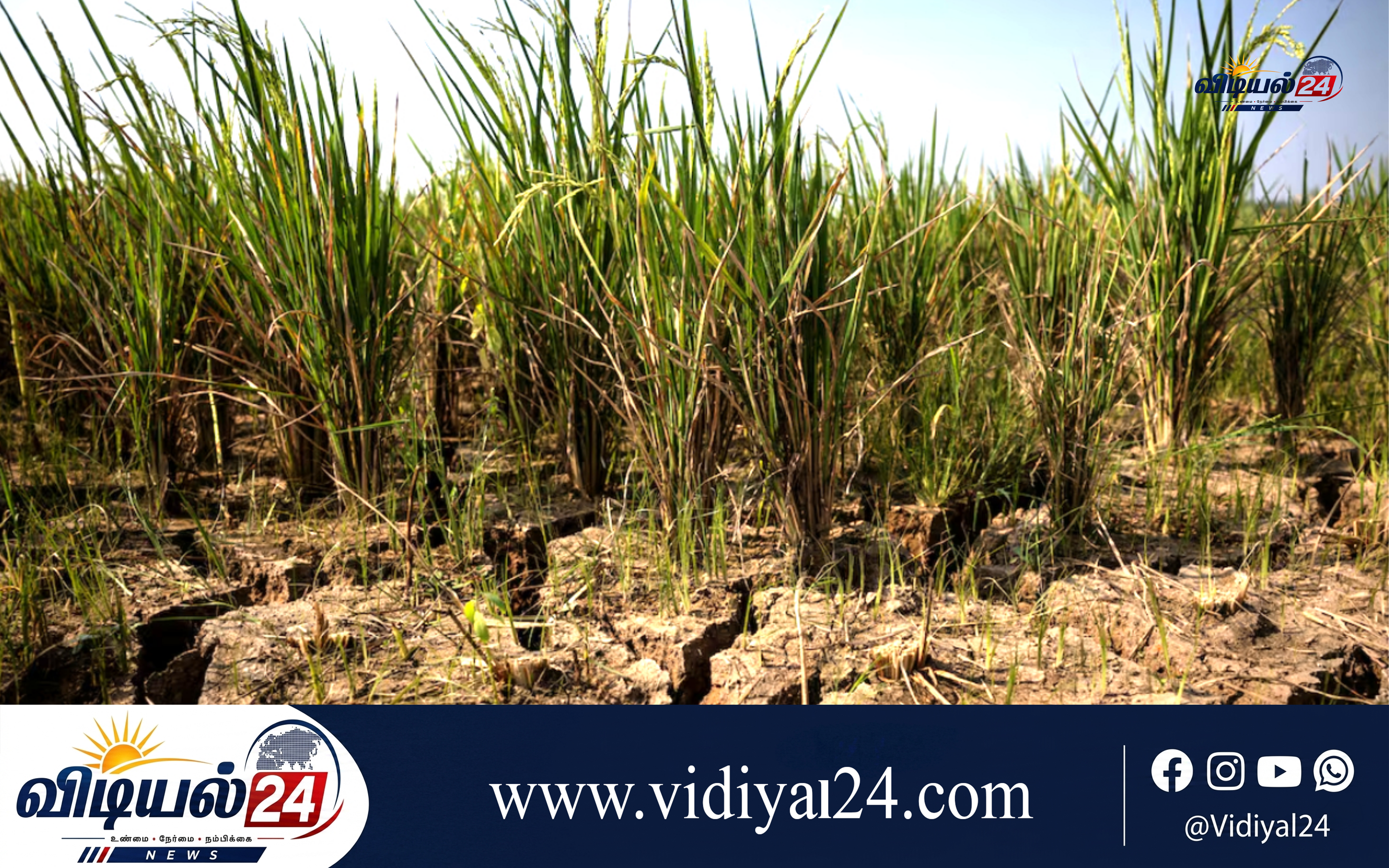 எல் நினோ தாக்கம்: 4.9 கோடி பேருக்கு பட்டினி அபாயம்